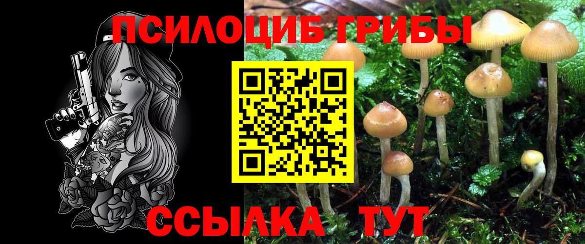 Когалым  Галлюциногенные грибы GOLDEN TEACHER  Вход с VPN  Галлюциногенные грибы прущие грибы 